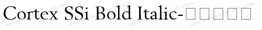 Cortex SSi Bold Italic字体转换